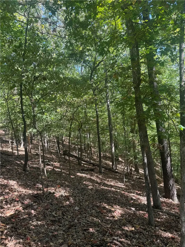 LOT B Old Campbell Road, Rogers, AR 72758 - #3