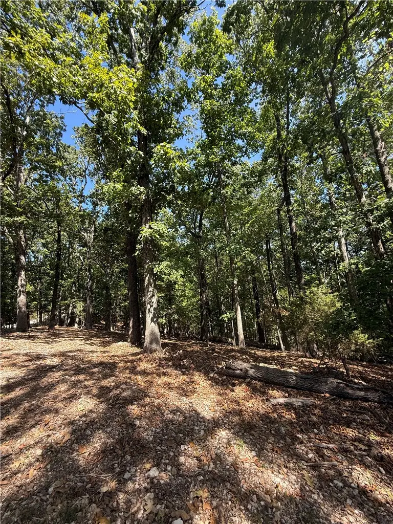 LOT C Old Campbell Road, Rogers, AR 72758 - #3