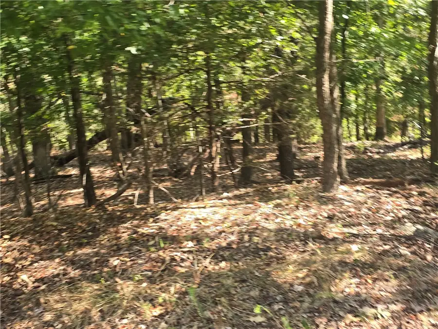 Marlborough Drive, Bella Vista, AR 72714 - #3