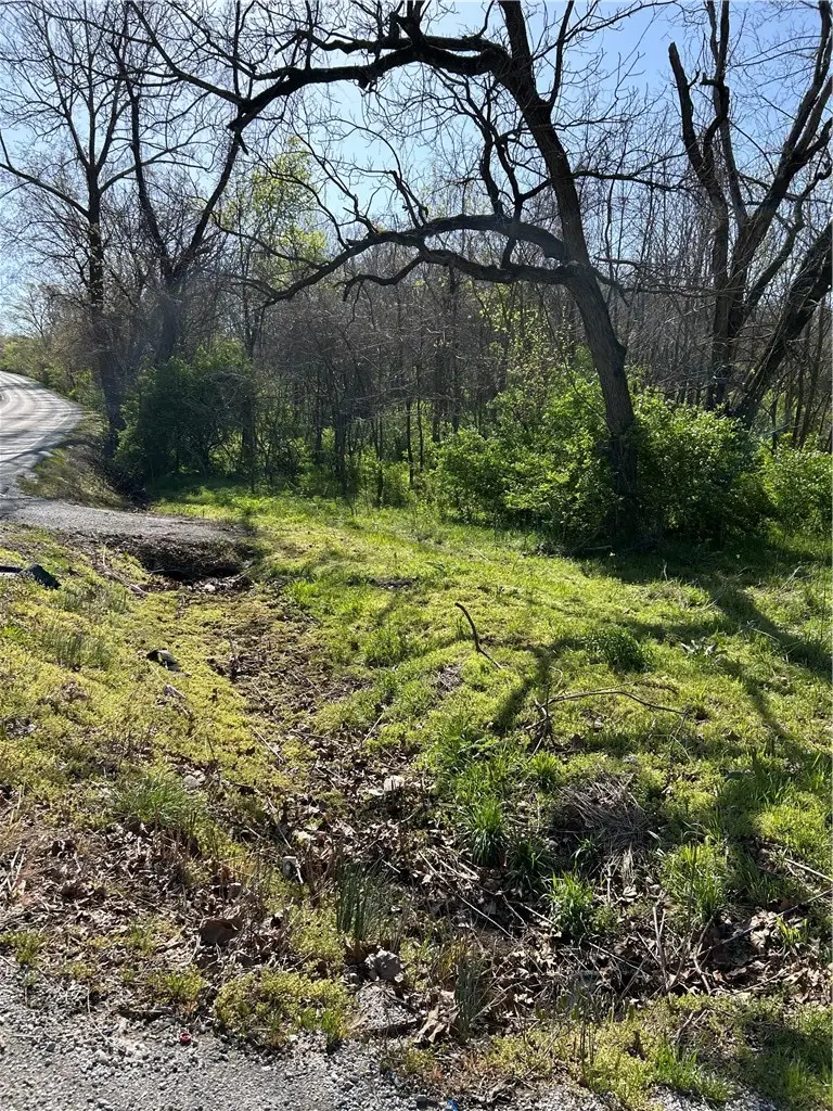 E Hwy 264, Springdale, AR 72745 - #3