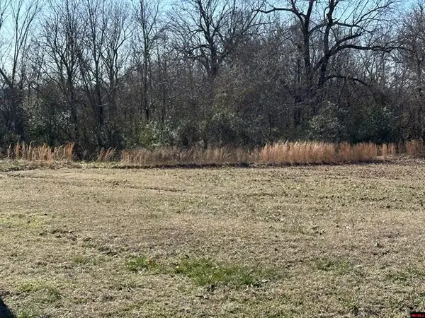 Lots 1657-1660 9th Street, Cotter, AR 72626
