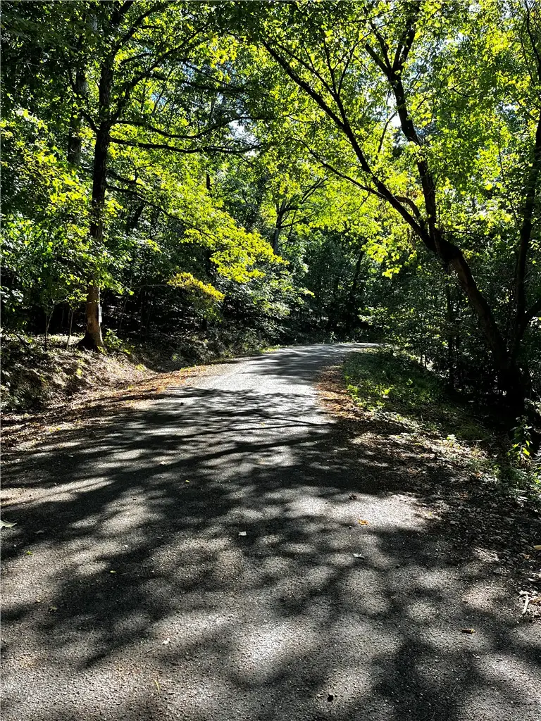 Woodside Lane, Holiday Island, AR 72631 - #1