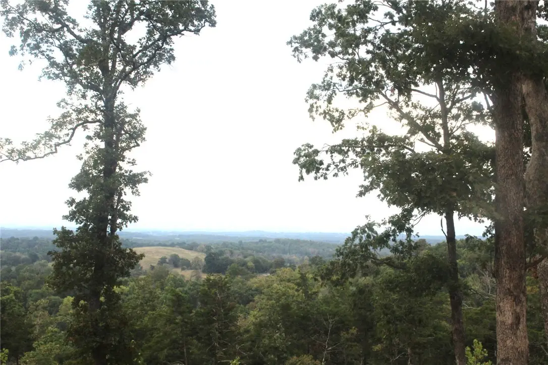 131 Mc 5039, Valley Springs, AR 72682 - #1