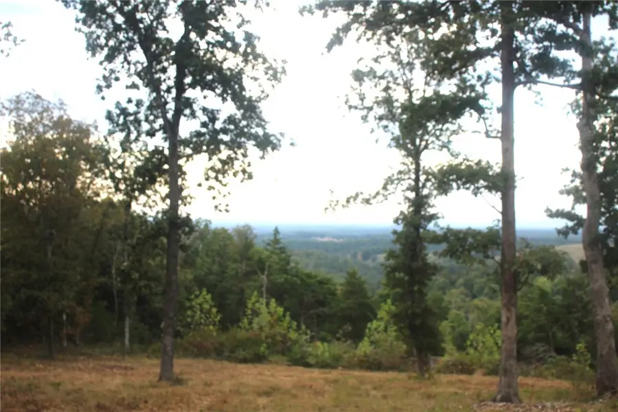 131 Mc 5039, Valley Springs, AR 72682 - #2