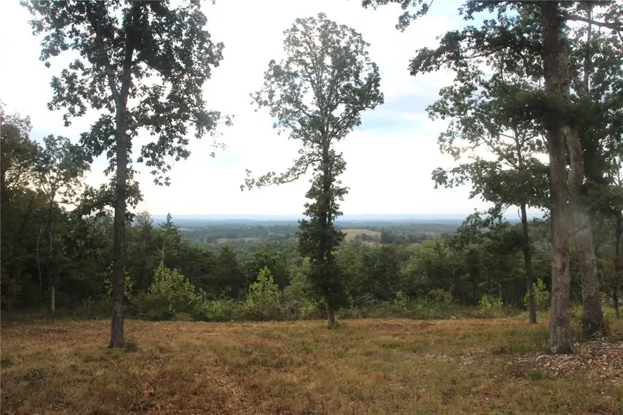 131 Mc 5039, Valley Springs, AR 72682 - #3