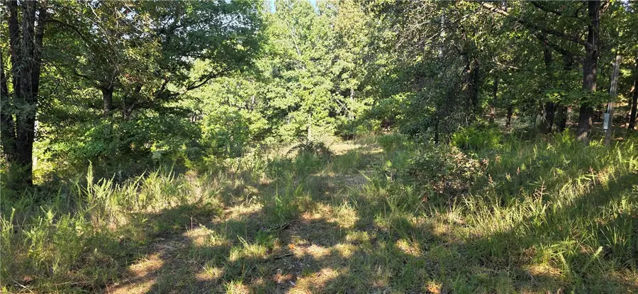 0 Salles Drive, Harrison, AR 72601 - #3
