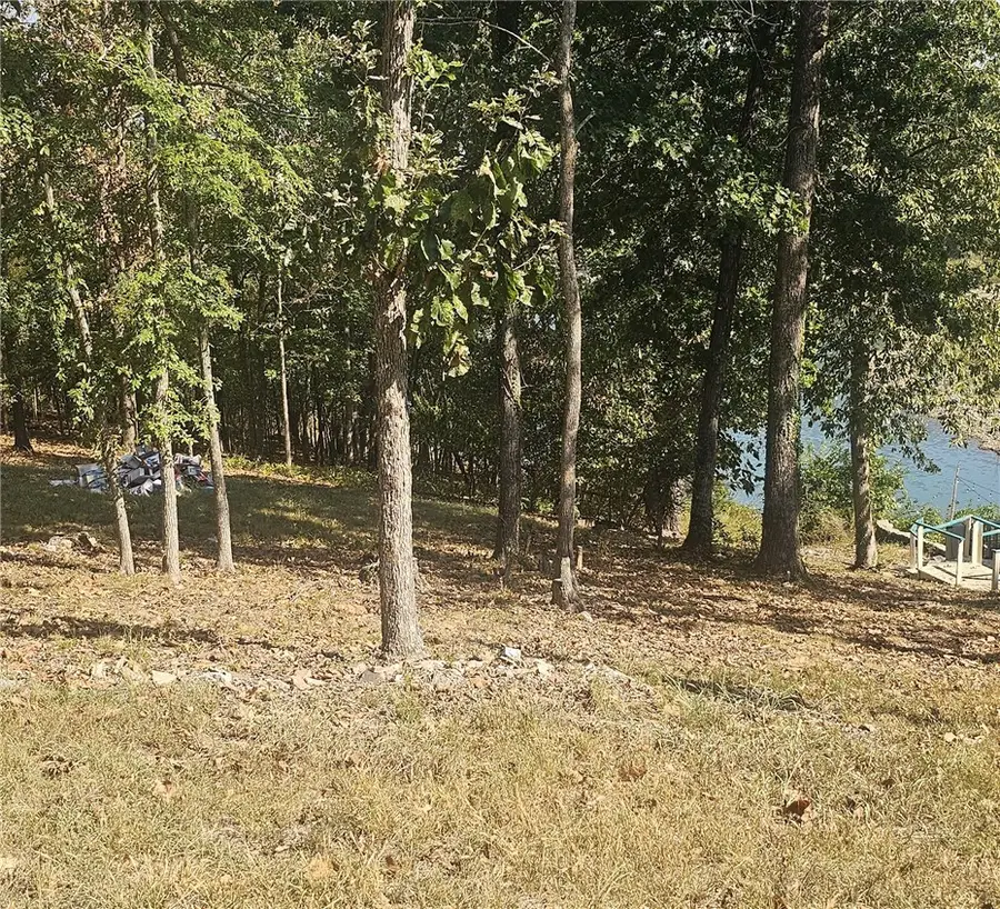 Sherwood Drive, Lead Hill, AR 72644 - #2