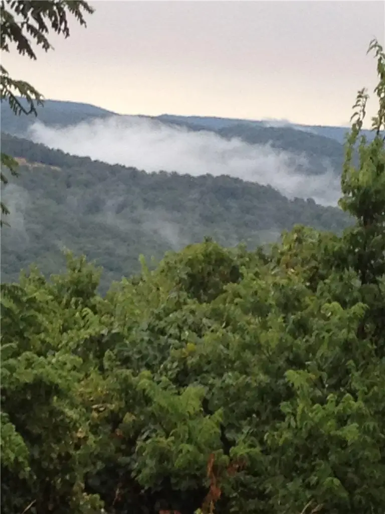 149 Madison 5355, Huntsville, AR 72740 - #3