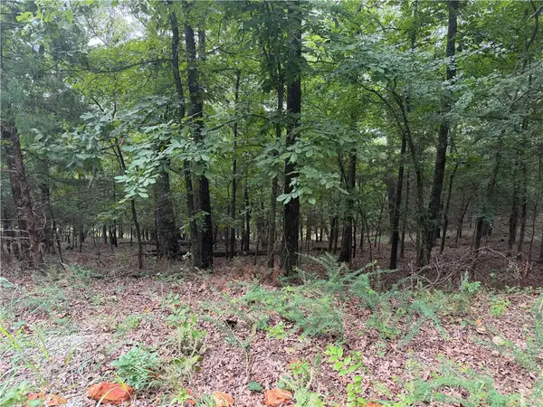 Bowen, Goshen, AR 72703