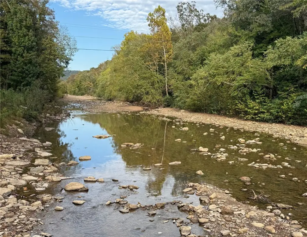 66.79 acres Cr 5099, Pettigrew, AR 72752 - #1
