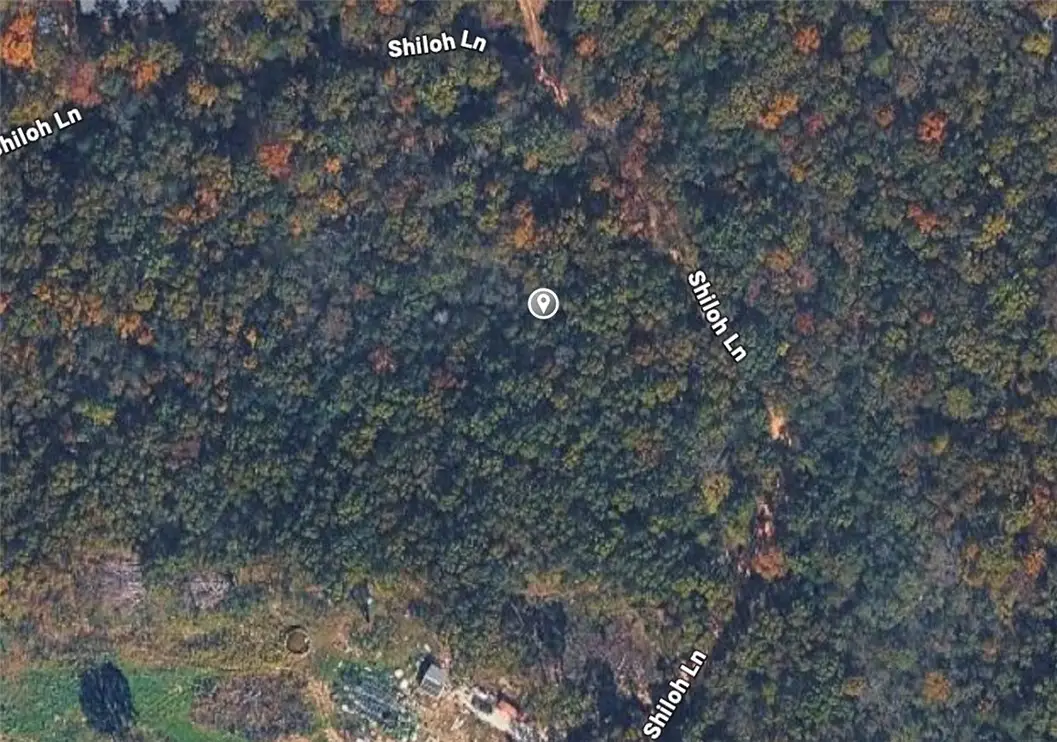 Shiloh Lane, Lead Hill, AR 72644 - #1