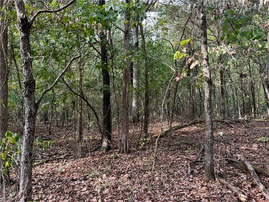 Fairview Drive, Harrison, AR 72601 - #2