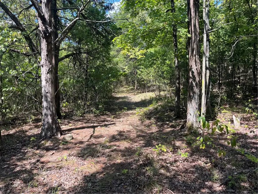 345 Mc 8112, Yellville, AR 72687 - #2