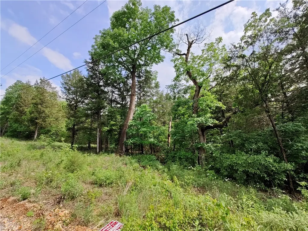 12 Sunrise Avenue, Holiday Island, AR 72631 - #1