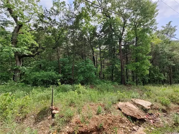 14 Sunrise Avenue, Holiday Island, AR 72631
