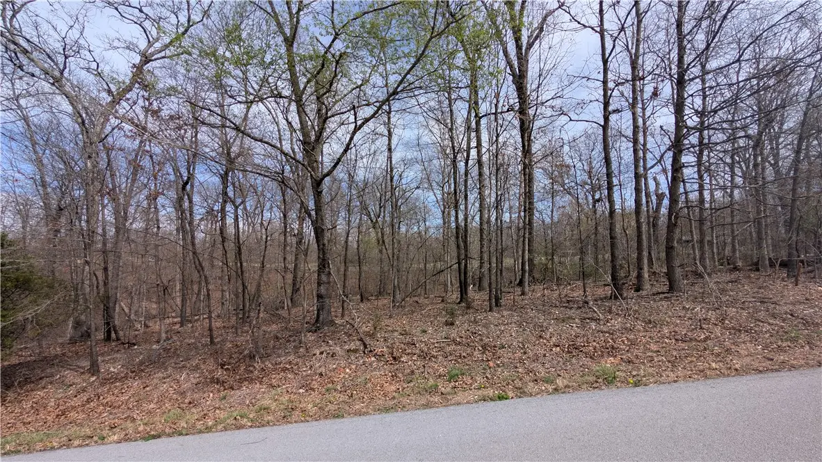 Lot 17 Kirkpatrick Lane, Bella Vista, AR 72715 - #1