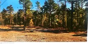 County Road 1784, London, AR 72847 - #1