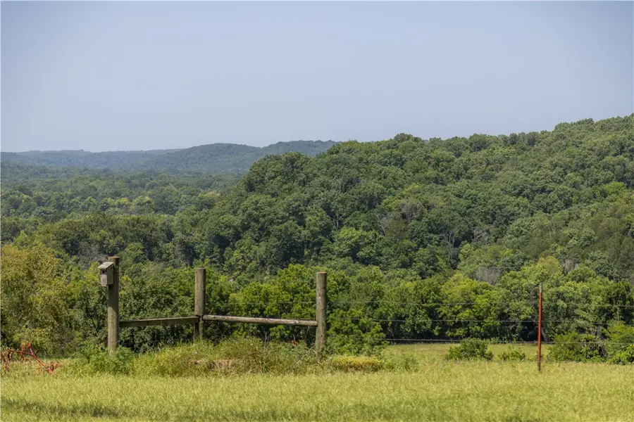 454 Green Hill Lane, Rocky Comfort, MO 64861 - #3