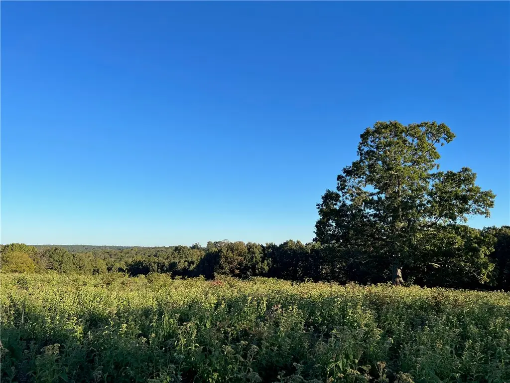 Parks Road, Harrison, AR 72601 - #1