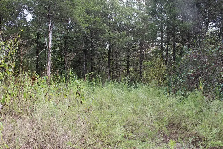 TBD Cr-2322, Beaver Township, AR 72631 - #2