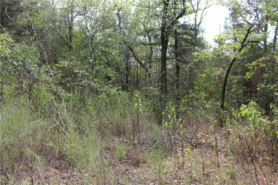 TBD Cr-2322, Beaver Township, AR 72631 - #3