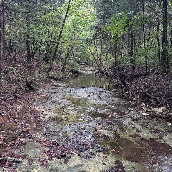 80.80 Acres Hwy 221 South, Berryville, AR 72616