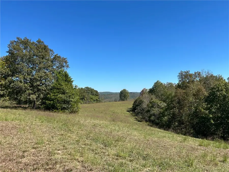 00 Nc 4216, Western Grove, AR 72685 - #2