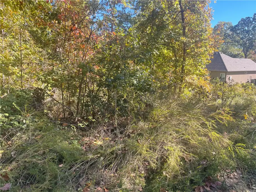 Lot 19 Weedon Lane, Bella Vista, AR 72714 - #3