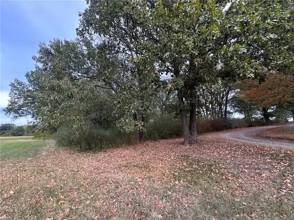 0 E Walnut, Paris, AR 72855