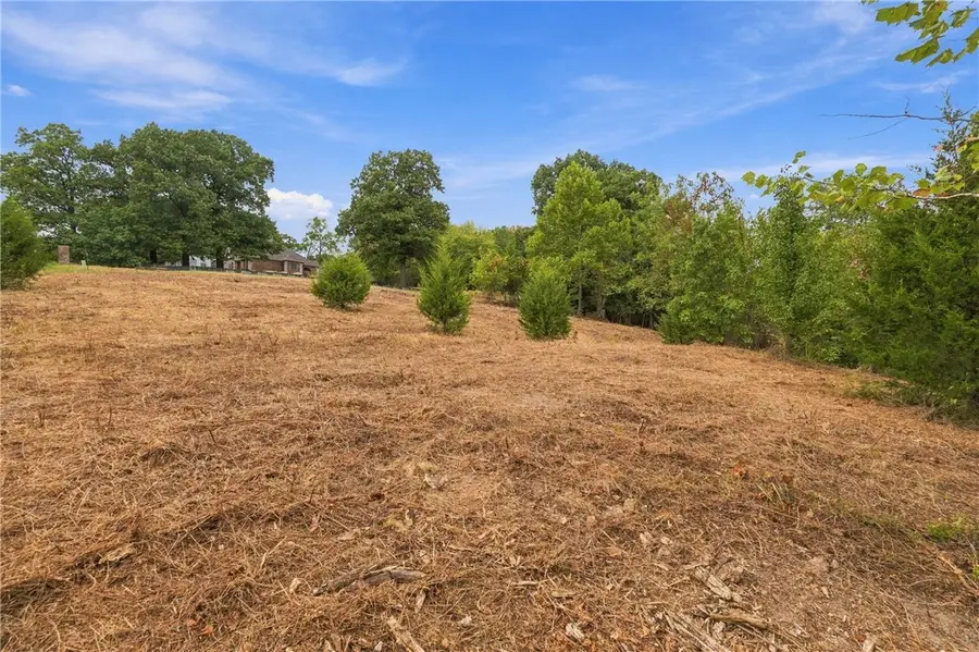Captain Miller Boulevard #Lot 2, Pea Ridge, AR 72751 - #3