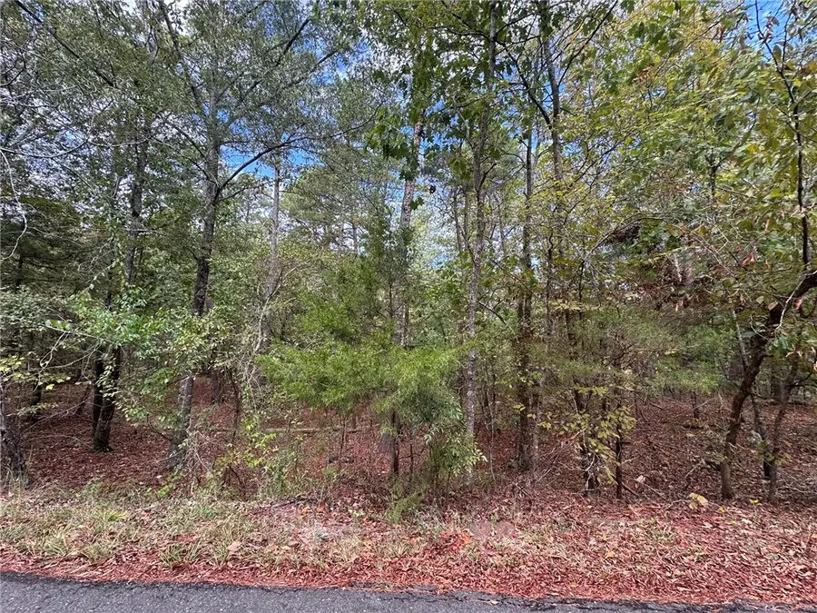 Cuenca Cir, Hot Springs Village, AR 71909 - #2