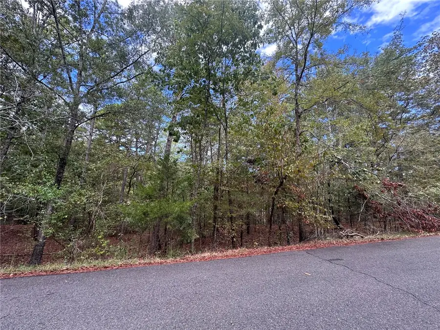 Cuenca Cir, Hot Springs Village, AR 71909 - #3