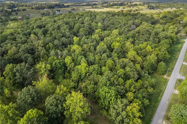 TBD Rally Hill Drive, Valley Springs, AR 72682