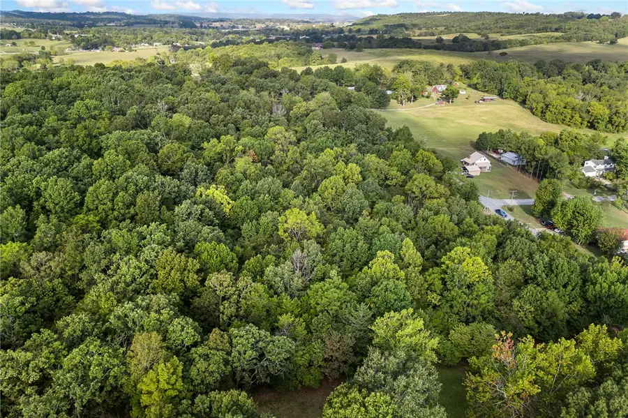 TBD Rally Hill Drive, Valley Springs, AR 72682 - #2