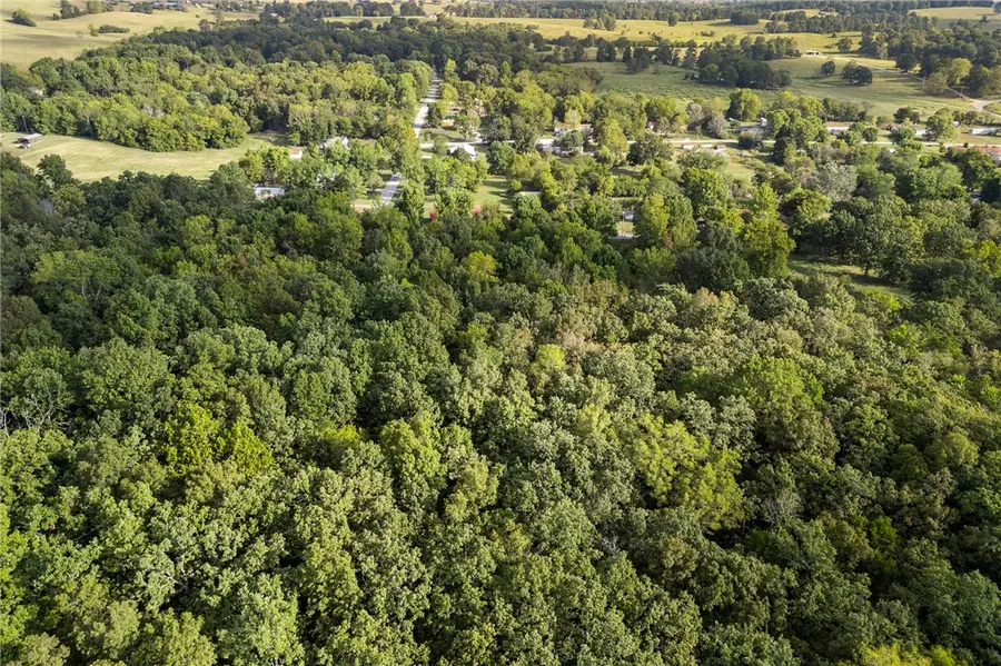 TBD Rally Hill Drive, Valley Springs, AR 72682 - #3