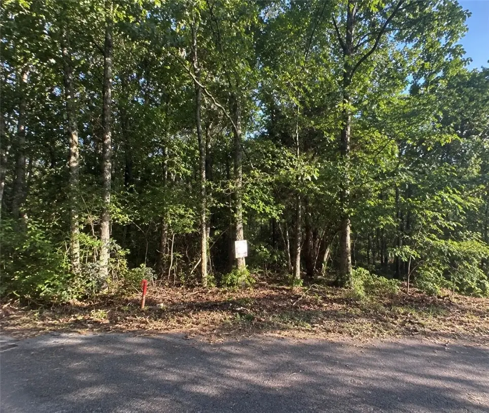 Castle Ct, Fairfield Bay, AR 72088 - #1