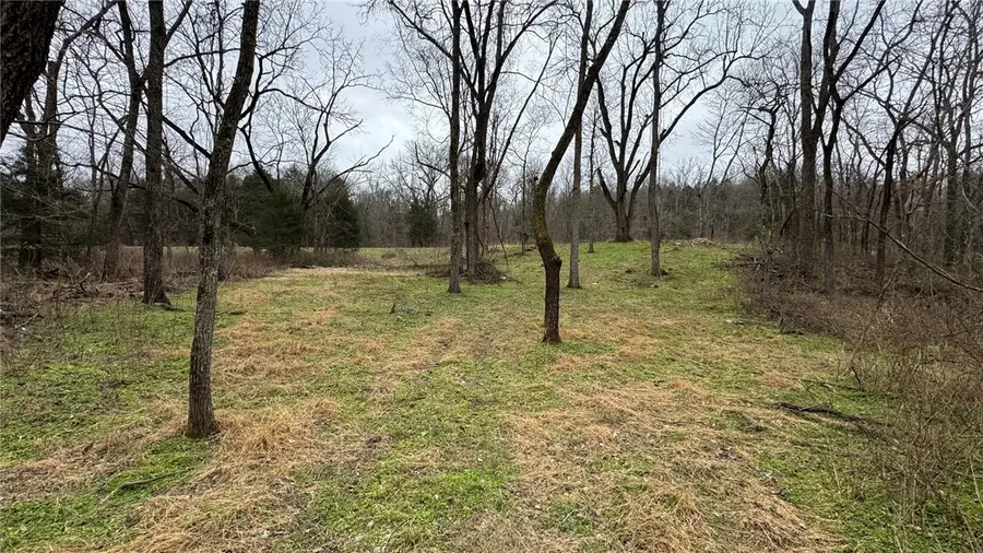 Lucher Lane, Bella Vista, AR 72714 - #3