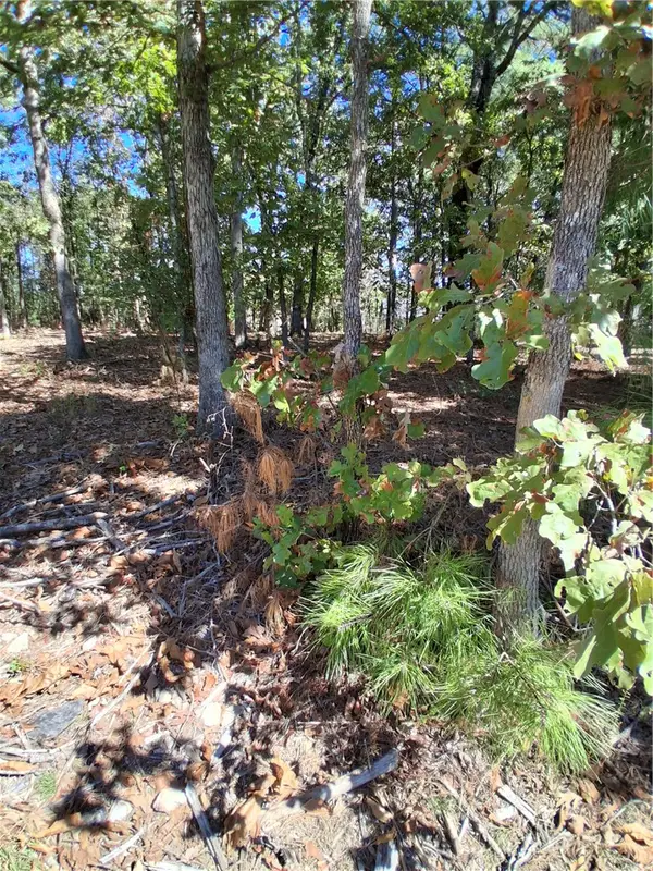 Ayr Drive, Bella Vista, AR 72715