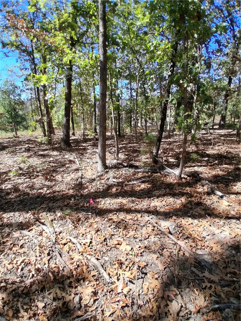 Ayr Drive, Bella Vista, AR 72715 - #2
