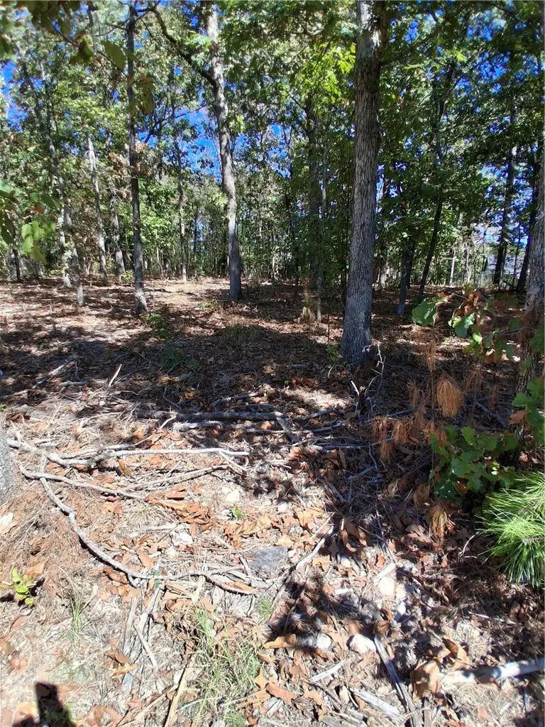 Ayr Drive, Bella Vista, AR 72715 - #3