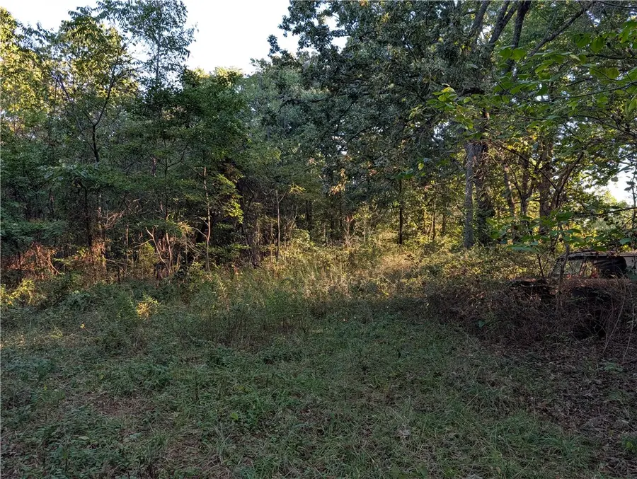 321 Sansing Hollow Road, Harrison, AR 72601 - #3