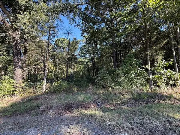 TBD Deerwood Lane Lane, Dardanelle, AR 72834