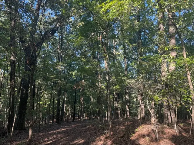 SW Maud Duncan Road, Winslow, AR 72959 - #2
