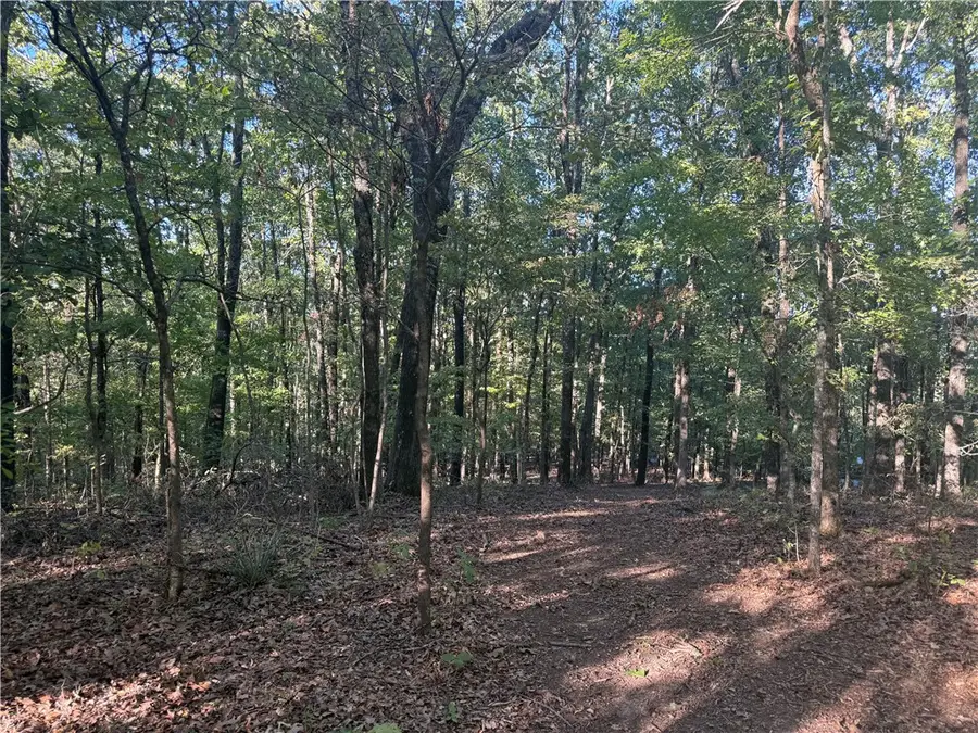 SW Maud Duncan Road, Winslow, AR 72959 - #3