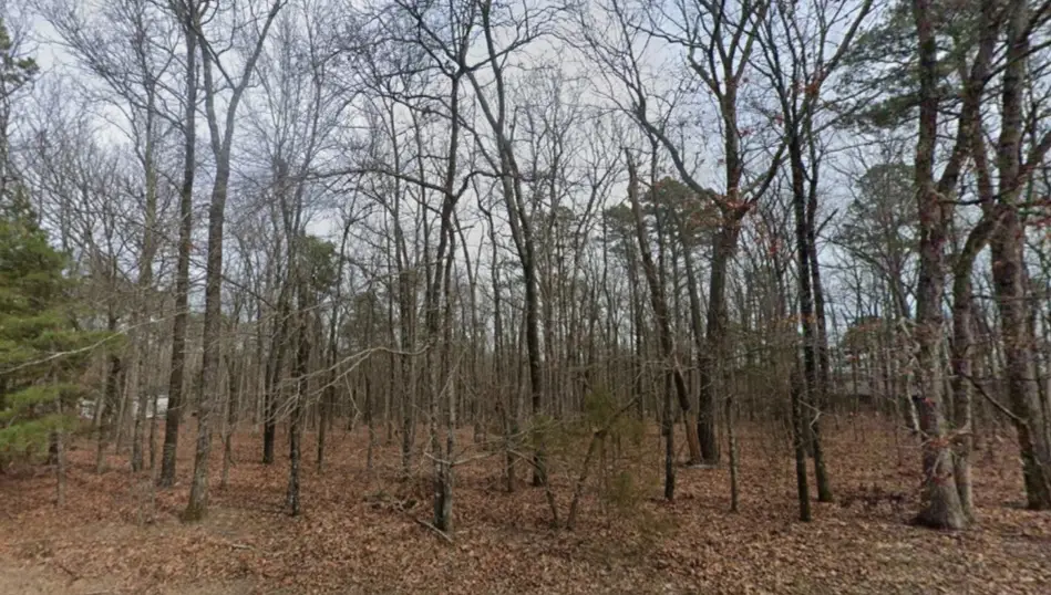 Lot 060 Drawbridge Place, Fairfield Bay, AR 72088 - #1