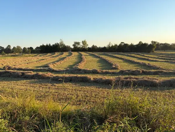Rob Hill Road, Dardanelle, AR 72834