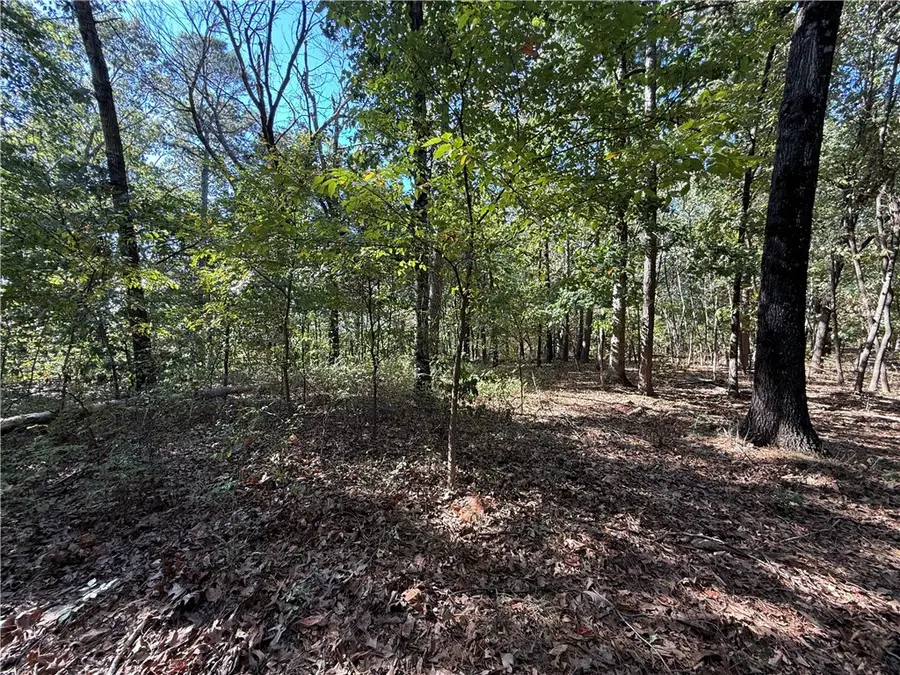 Tract D Silver Ridge Road, Eureka Springs, AR 72632 - #2