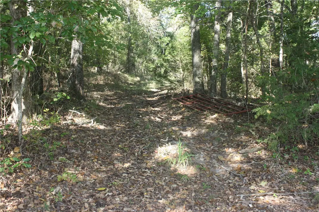 Address Withheld By Seller, Summit, AR 72677 - #1