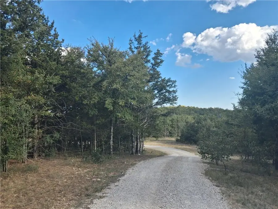 3369 County Road 219, Berryville, AR 72616 - #2