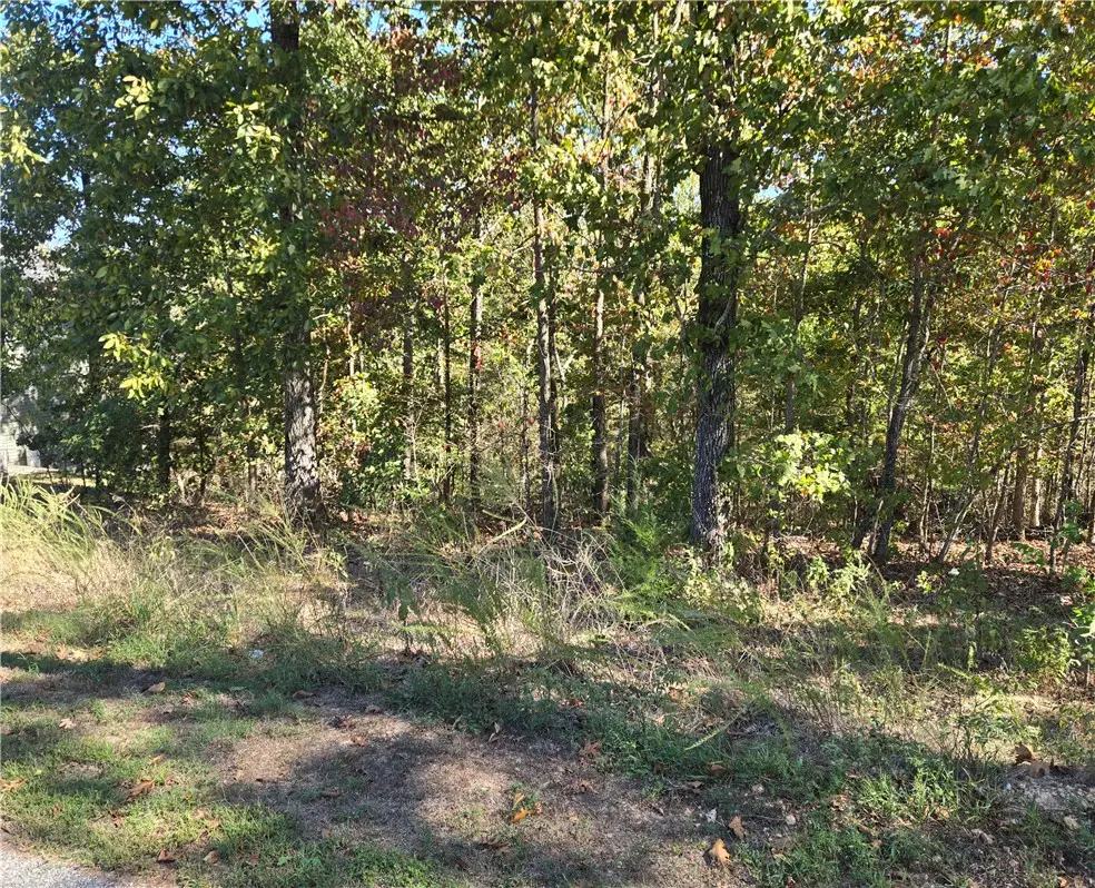 Lot 13 Block 7 Murphy Drive, Bella Vista, AR 72715 - #1